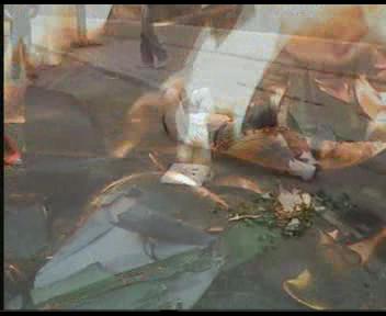 turnage de film ceour d'or lyc�e hassan deux rabat