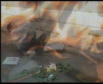 turnage de film ceour d'or lyc�e hassan deux rabat