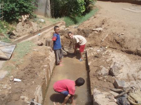 la jeunisse de futur irizn n imal